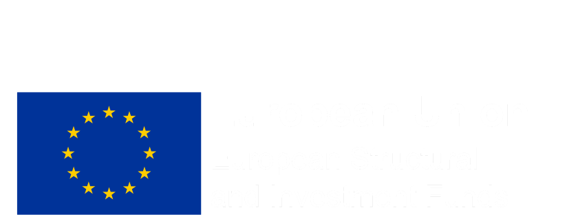 Care to Step Up part funded by the European Union, European Structural and Investment Funds